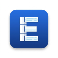 EsaStruk Logo